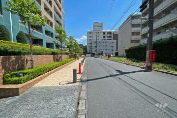 敷地西側の前面道路（北側から）