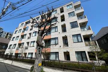 パレプラス大井町の外観（南東側から）