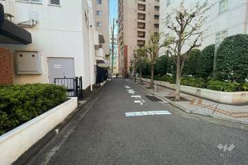 敷地西側の前面道路（北側から）