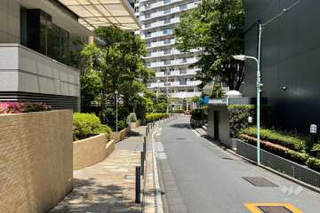 敷地の東側前面道路（南側から）