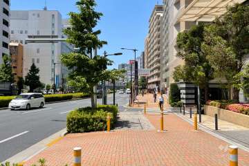 敷地の南側前面道路（東側から）