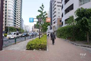 敷地北東側の前面道路　