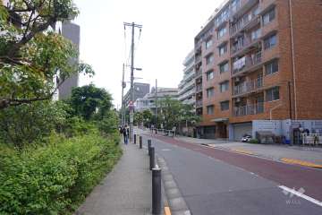 敷地北西側の前面道路　