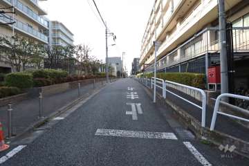 敷地北側の前面道路(東側から)