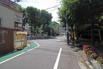敷地前面道路沿いの南東側には『平塚中央公園』があります。