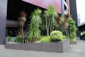 植栽