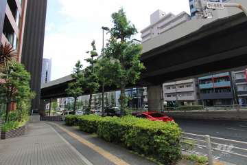 敷地南東側の前面道路（南西側から）