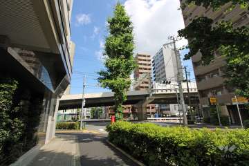 敷地北東側の前面道路（南東側から）