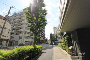 敷地北東側の前面道路（北西側から）