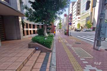 敷地北側は都道317号に面しています。