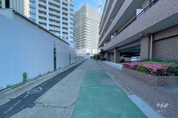 敷地東側の前面道路