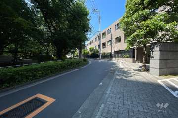 敷地西側の前面道路（南側から）