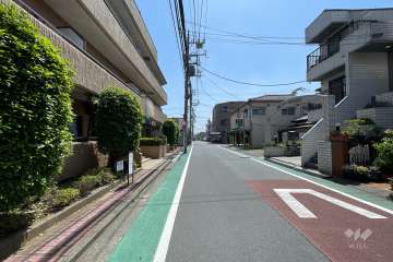 敷地西側の前面道路（北側から）