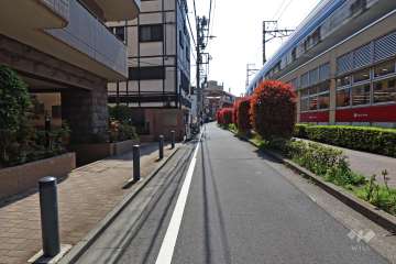 敷地西側の前面道路（北側から）