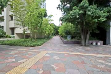 敷地東側の前面道路