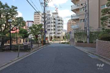 敷地南西側の前面道路（北西側から）