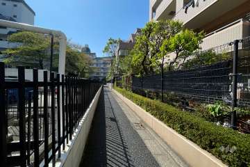 敷地南側の前面道路（東側から）