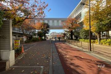 敷地北西側の前面道路
