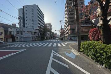 敷地南側の前面道路