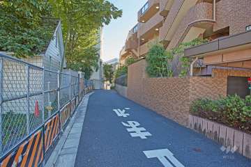 敷地の北東側道路（北西側から）