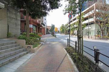 敷地北側の前面道路