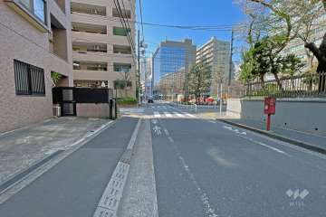 敷地南側の前面道路（北側から）