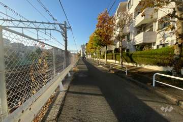 敷地南東側の前面道路　