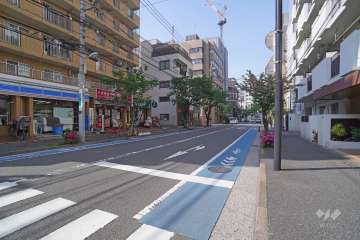 敷地西側の前面道路（南側から）