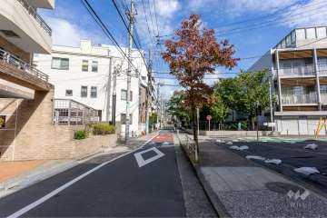 敷地南側の前面道路（西側から）