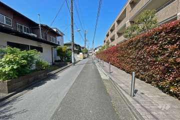 敷地南側の前面道路（東側から）