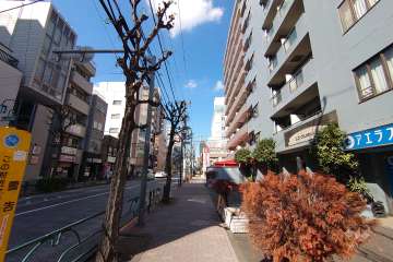 敷地南西側の前面道路