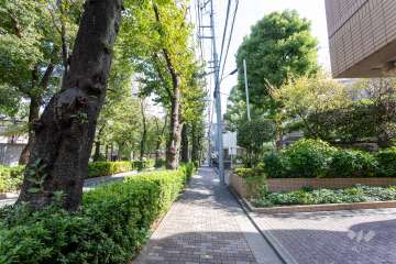 敷地の東側前面道路（北側から）