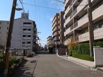 周辺は区画の整った静かな住宅地です。