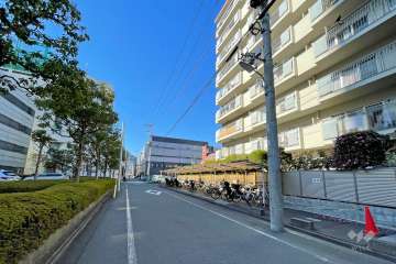 敷地南側の前面道路