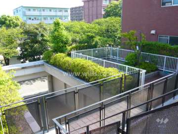 駐車場の上は庭になっています