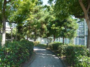 公園に続く緑豊かな道