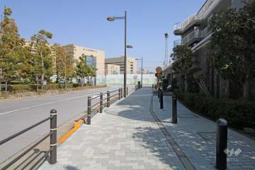 並木や植栽が整った北側前面道路は、区役所通りに通じています。