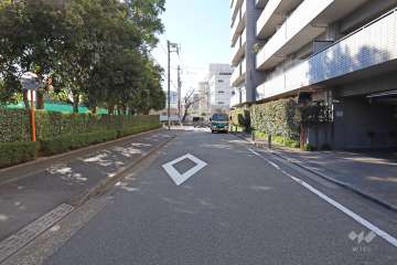 敷地東側の前面道路