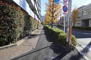 敷地南西側の前面道路