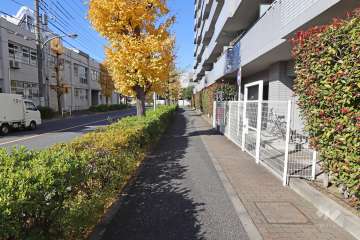 敷地南側の前面道路