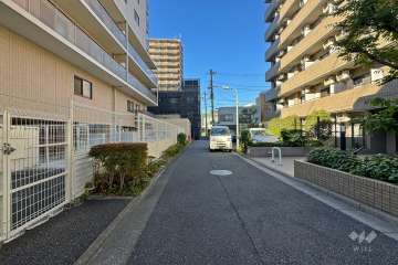 敷地北側の前面道路（東側から）