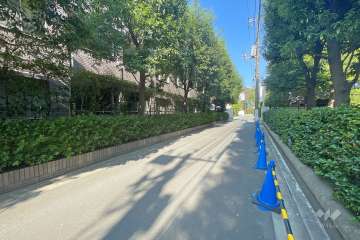 敷地東側の前面道路（南側から）