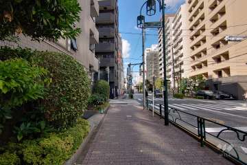 敷地東側の前面道路（南側から）