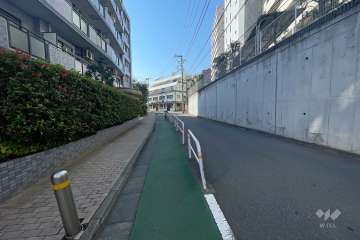 敷地西側の前面道路（北側から）