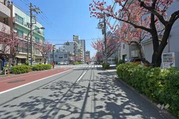 敷地北側の前面道路（西側から）