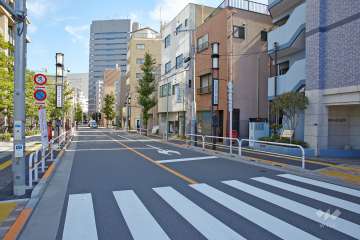 敷地北側の前面道路（西側から）