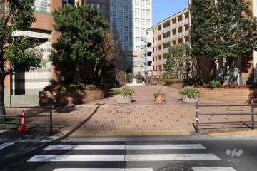 敷地東側の前面通路(南側から)