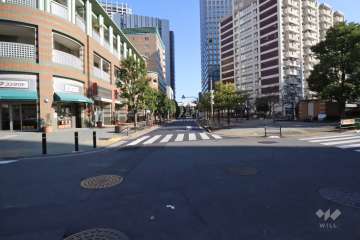敷地南側の前面道路(西側から)