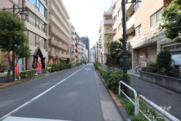 敷地南側の前面道路（東側から）