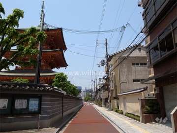 敷地南側の前面道路。道を挟んで本興寺があります。